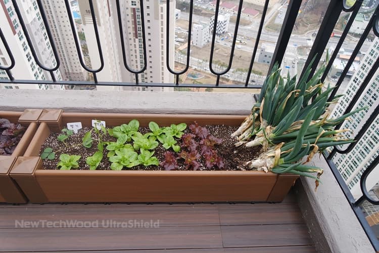 Natural Deck Saksı - 2